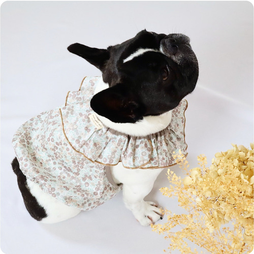 オーダーメイド犬服のベージュチェックワンピース : オーダー
