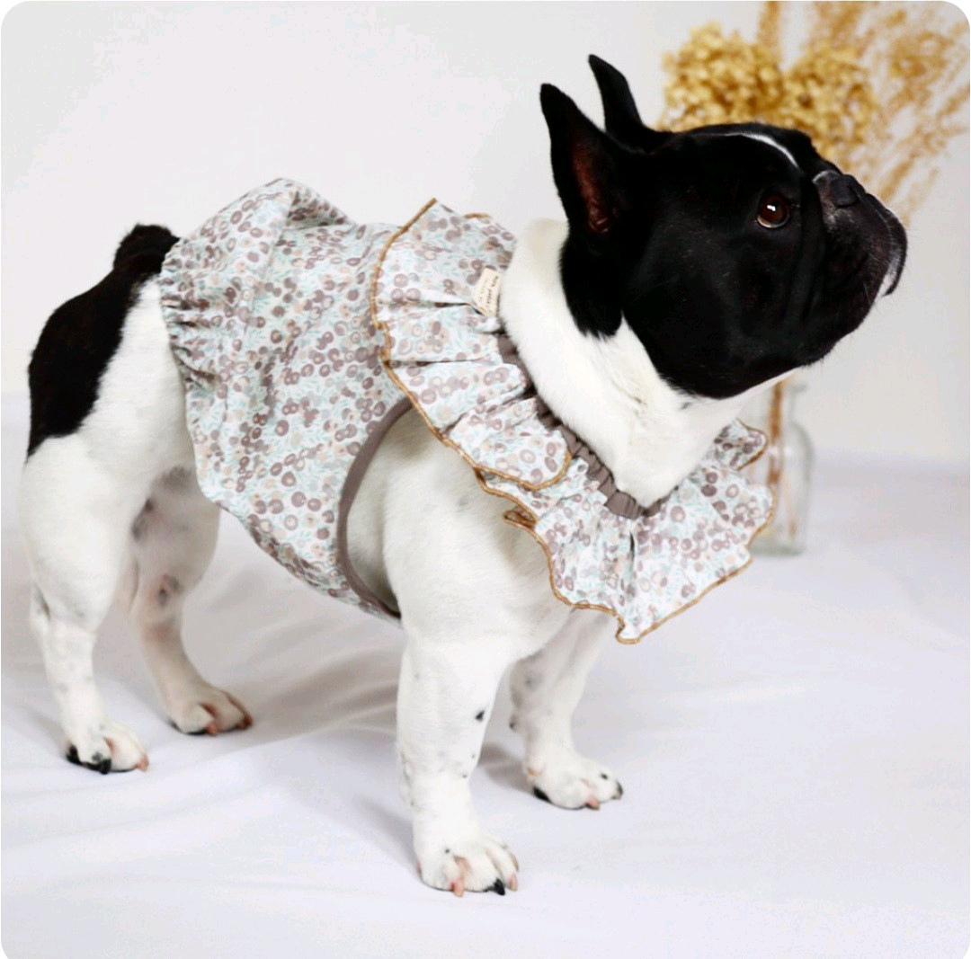 犬服　カメリア大柄　リップル　バルーンワンピース　二重お袖付き見本 犬服 カメリア大柄 リップル バルーンワンピース 二重お袖付き見本
