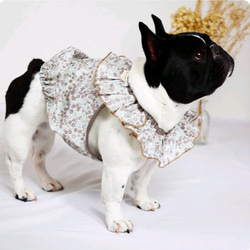 ハンドメイド犬服　花柄cottonのバルーンワンピ★フリル袖に変更可能 楽天市場】犬 バルーン ワンピの通販