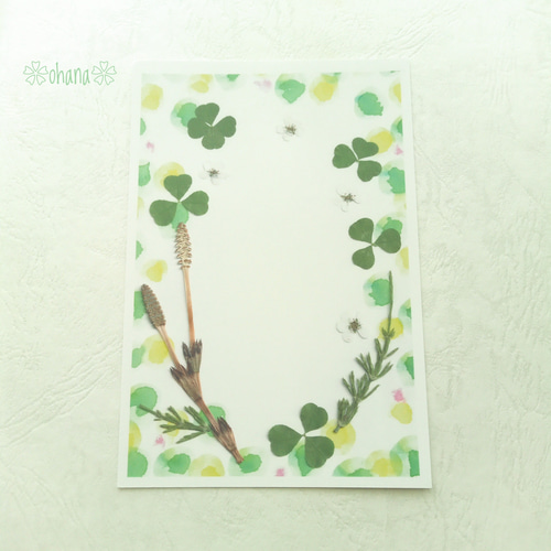 四つ葉のクローバー 押し花絵葉書♪見本 四つ葉のクローバー 押し花 四つ葉のクローバー 押し花絵葉書