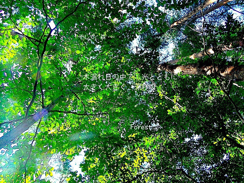 スピナーリング   ＊Tree & Bird＊生命の樹と自由の鳥＊【Sv925】