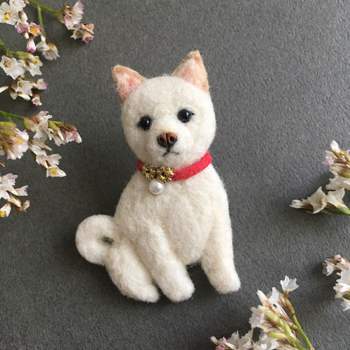 羊毛フェルト 白柴犬 ブローチ ブローチ CHIRA MIRA 通販 17897905