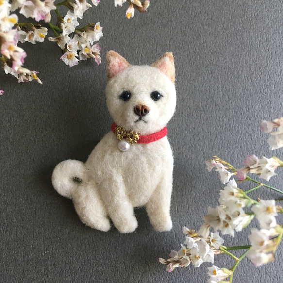 羊毛フェルト 白柴犬 ブローチ ブローチ CHIRA MIRA 通販 17897905
