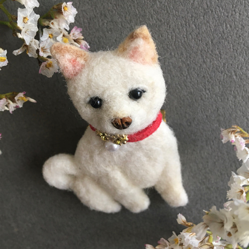 羊毛フェルト 白柴犬 ブローチ ブローチ CHIRA MIRA 通販 17897905