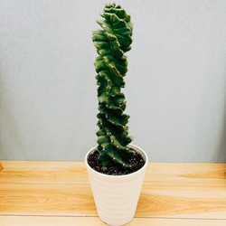 2fd01c96a651e9179560a2d6317134