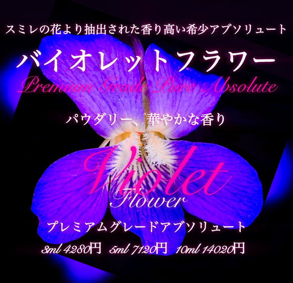 ☆超希少☆【甘美で魅了される香り】アメリカンバイオレットフラワー