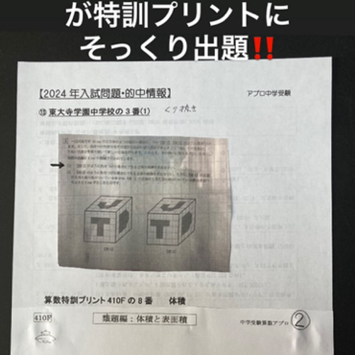 中学受験 東大寺学園中学校 2025年新合格への算数と理科プリント