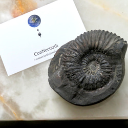 6ca71d4ebe93b1405c157b9f4fda2e