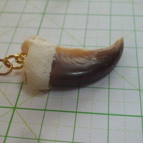 ヒグマ（特大）　爪　3つセット アクセサリー DIY 手芸 ヒグマ（特大） 爪 3つセット アクセサリー DIY 手芸 ヒグマ