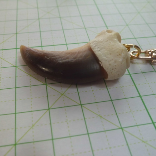 ヒグマ（特大）　爪　3つセット アクセサリー DIY 手芸 ヒグマ（特大） 爪 3つセット アクセサリー DIY 手芸