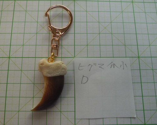 ヒグマ爪骨付チャーム・アクセサリー D その他アクセサリー やま