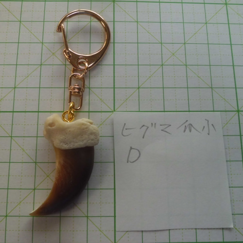 ヒグマ爪骨付チャーム・アクセサリー D その他アクセサリー やま