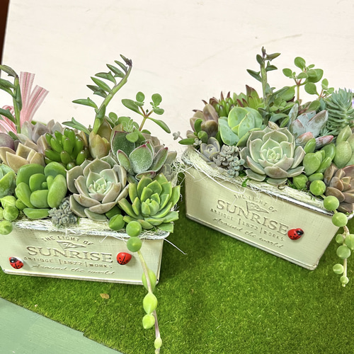 多肉植物寄せ植え〜樹脂粘土レジン(粘土細工)ガーデンピック