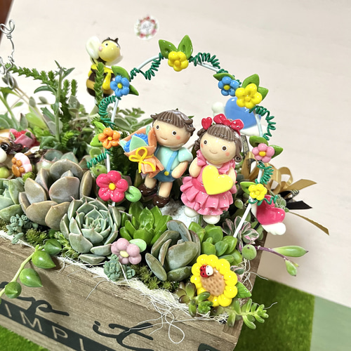 Amazon.co.jp: 多肉植物寄せ植え樹脂粘土レジン(粘土細工