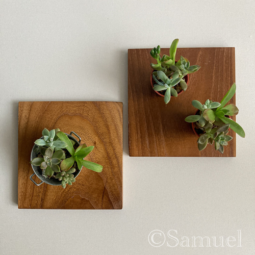 ◩きのかたち『四角四面の真面目なコースター：山桑』12×12×10