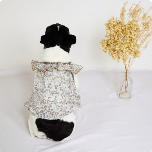 ハンドメイド犬服　花柄cottonのバルーンワンピ★フリル袖に変更可能 楽天市場】犬 服 春夏 ワンピース 切り替えバルーンワンピ 犬服