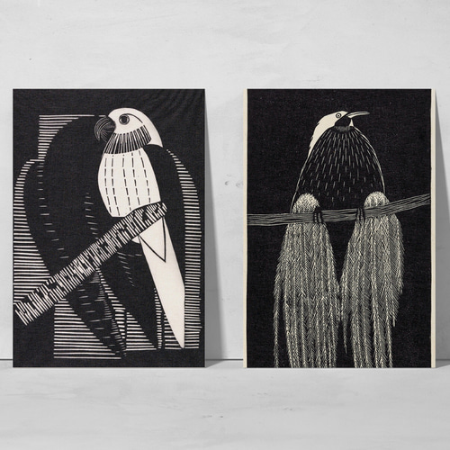 モノクロ写真作品「白鳥」A3サイズ アート インテリア モノクロ写真作品「白鳥」A3サイズ アート インテリア 芸術写真
