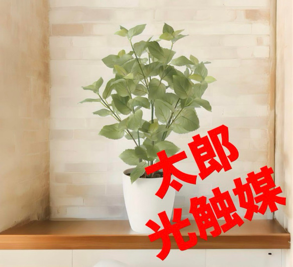 光触媒　人工観葉植物　ウォールグリーン　フェイクグリーン　ペリーラ70 光触媒 人工観葉植物 ウォールグリーン フェイクグリーン ペリーラ70