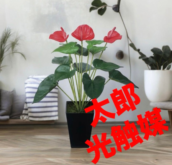 光触媒 人工観葉植物 ウォールグリーン フェイクグリーン シーグレープ