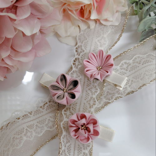 PLUIE ヘアクリップ3点セット ヘアクリップ 3点セット PLUIE ヘアクリップ3点セット emmiロゴ