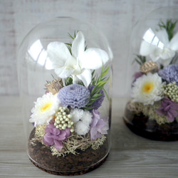 仏花)ガラスドーム -デンファレ パープル- プリザーブドフラワー QUEUE