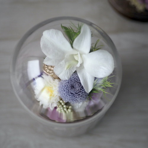 仏花)ガラスドーム -デンファレ パープル- プリザーブドフラワー QUEUE