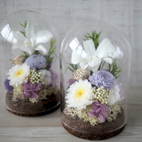 仏花)ガラスドーム -デンファレ パープル- プリザーブドフラワー QUEUE