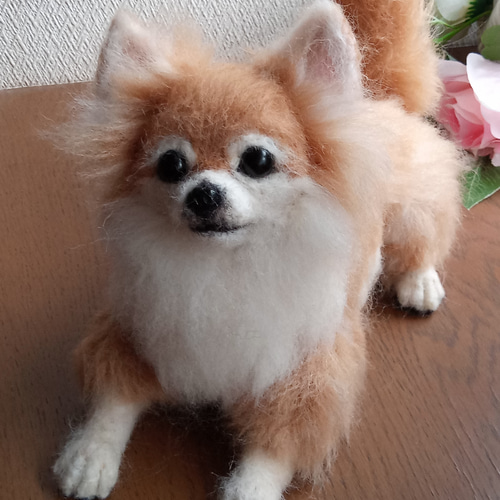 羊毛フェルト・ロングコートチワワ・わんちゃん 羊毛フェルト SORA