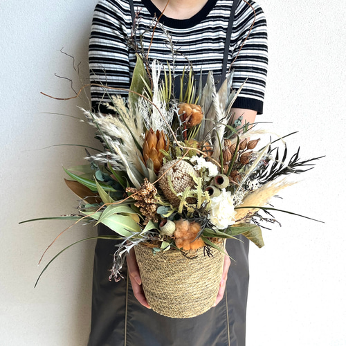 希少 サンスベリア パゴダ Sサイズ 観葉植物 calm cafe 多肉植物 希少 サンスベリア パゴダ Sサイズ 観葉植物 calm cafe 多肉植物