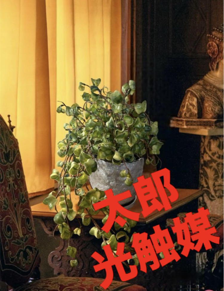 光触媒　人工観葉植物　ウォールグリーン　フェイクグリーン　ベンジャミンバロック@gja