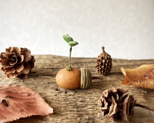 【専用】オールドノリタケ どんぐり モールド 3D ナッツボウル ドングリ 団栗 オールドノリタケ ナッツボウル 栗 3D モールド チェスナット