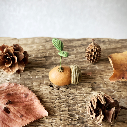 8805.bud 粘土のどんぐり その他インテリア雑貨 bud 通販 17904138