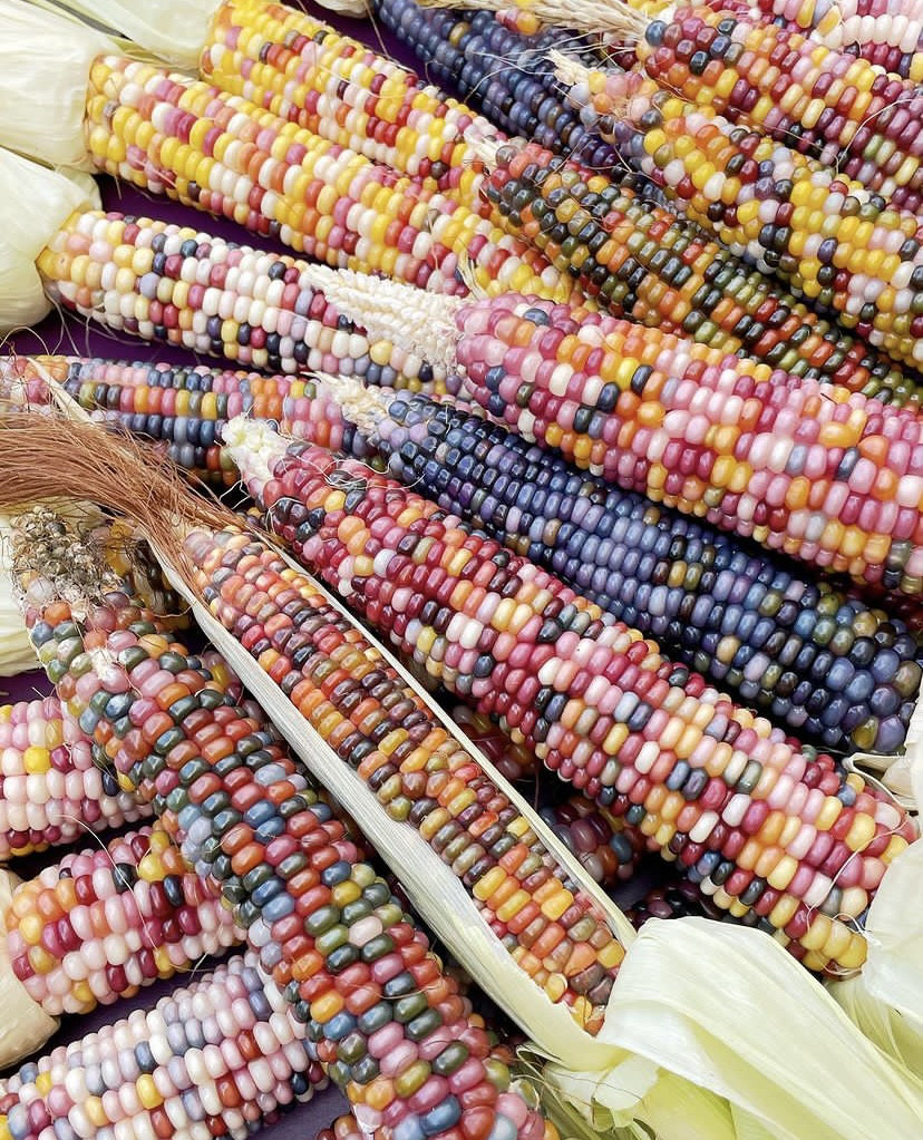 グラスジェムコーン太め　６０本詰め合わせ グラスジェムコーン太め　６０本詰め合わせ