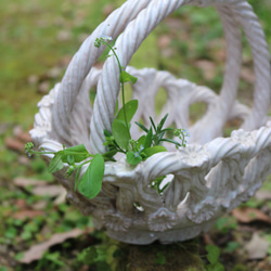 真鍮製 チェリー模様 アンティーク ジャルニディエール プランター