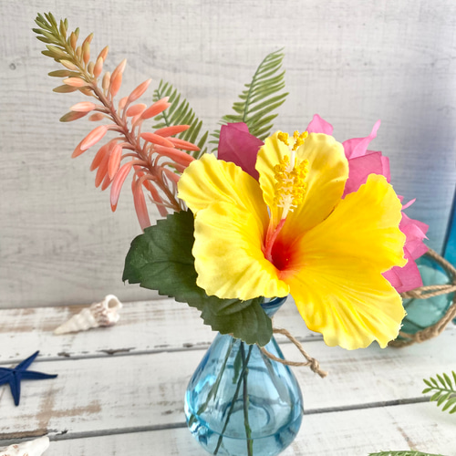 一年中楽しめる♡ ハイビスカス・ブーゲンビリア・アロエフラワーの