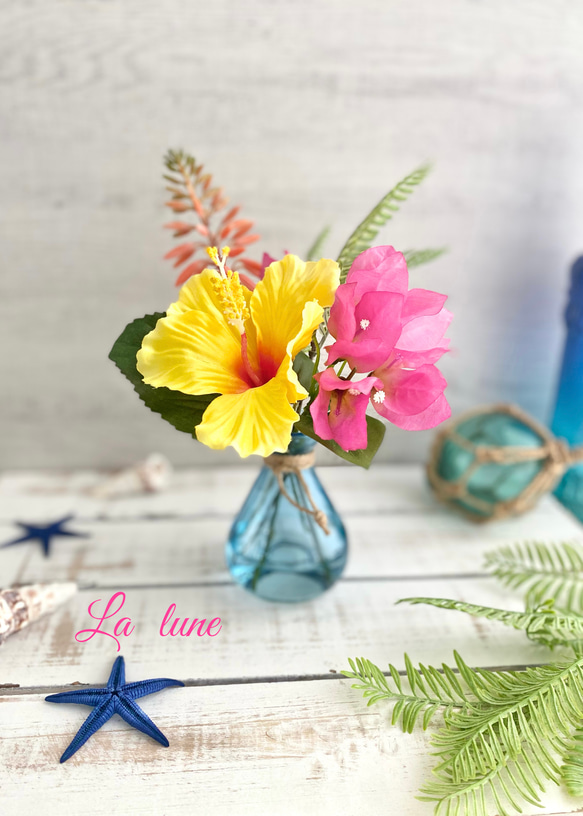 一年中楽しめる♡ ハイビスカス・ブーゲンビリア・アロエフラワーの