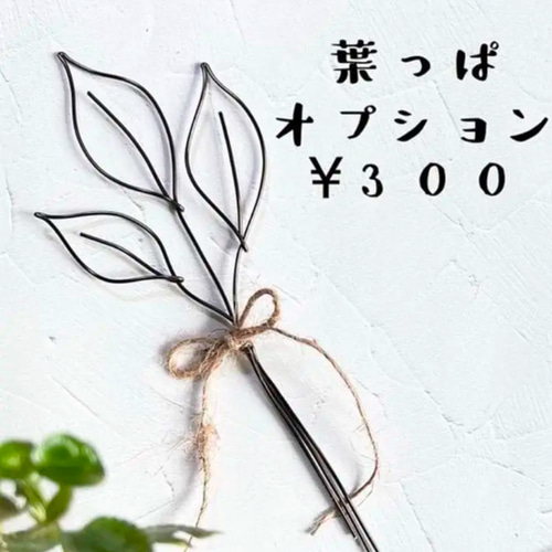 New ウォルトディズニー名言 レタリング ウォールステッカー・ウォール 