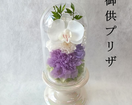 e31448c34c86d072ab7a176a6c761a