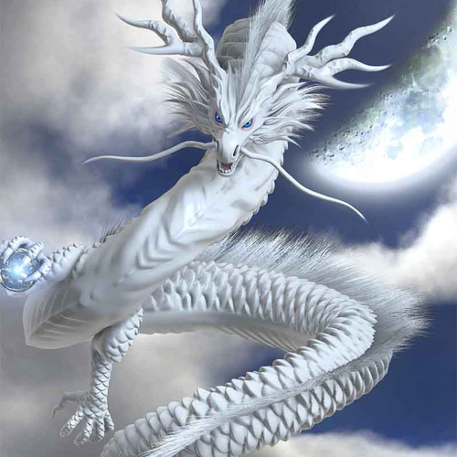 油絵 油彩 油彩画 絵 絵画【白龍】 油絵 油彩 油彩画 絵 絵画【白龍】 | HIROSHI1990