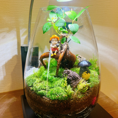 4種類配合 苔テラリウム用 ベース ソイル その他素材 ☆MossTerrarium 