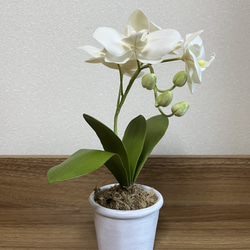 クレイフラワー（水仙） クレイフラワー 水仙 その他インテリア雑貨 Aki 通販 8798290｜Creema