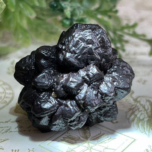 エジプトの星✴︎ ゼットストーン プロフェシーストーン マーカ