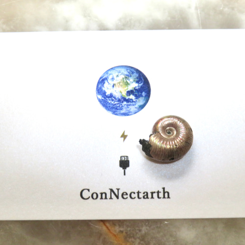 美しい化石標本◇ヘマタイト化したレインボーアンモナイトの化石