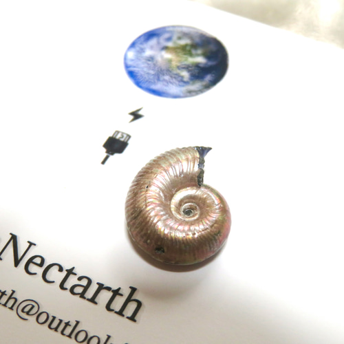 美しい化石標本◇ヘマタイト化したレインボーアンモナイトの化石