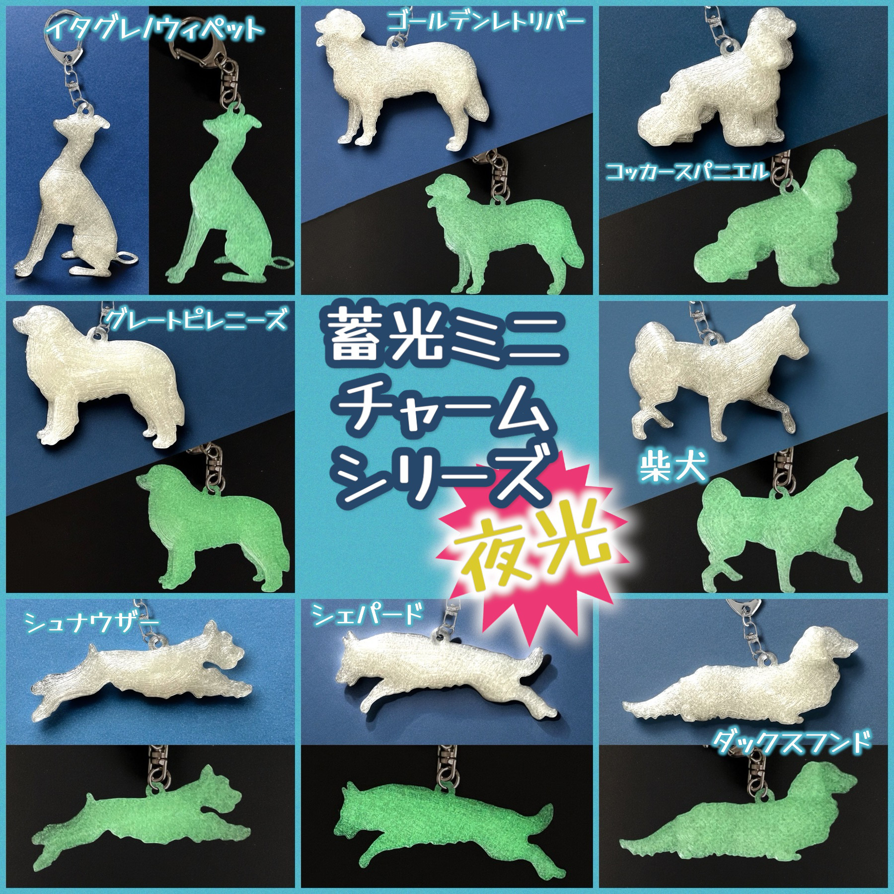 蓄光キーホルダー 8犬種 キーホルダー くらしのき 通販 17907848