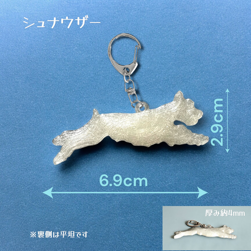 SALE中】蓄光キーホルダー 8犬種 半透明蓄光樹脂製 キーホルダー