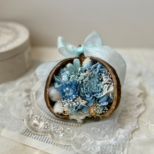 幸せを呼ぶ実 ブッダナッツ(小さめ)【ピンク×水色 ベイビーカラー