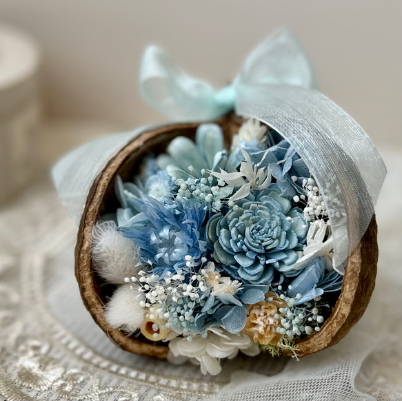 幸せを呼ぶ実  ブッダナッツ(小さめ)【ピンク×水色  ベイビーカラーアレンジ】 幸せを呼ぶ実 ブッダナッツ(小さめ)【ピンク×水色 ベイビー