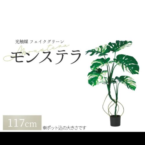 欧州調高級家具の皇室家御用達のブランド 姿見 鏡