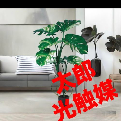 光触媒 人工観葉植物 ウォールグリーン フェイクグリーン